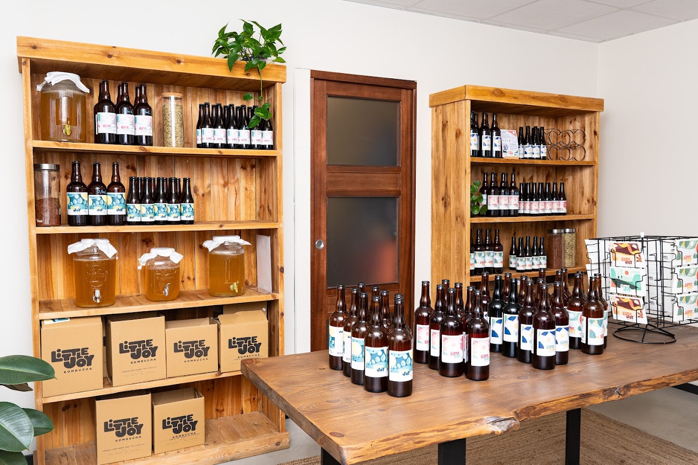 Kombucha little joy à retrouver aux parcs du passage à saint armel
